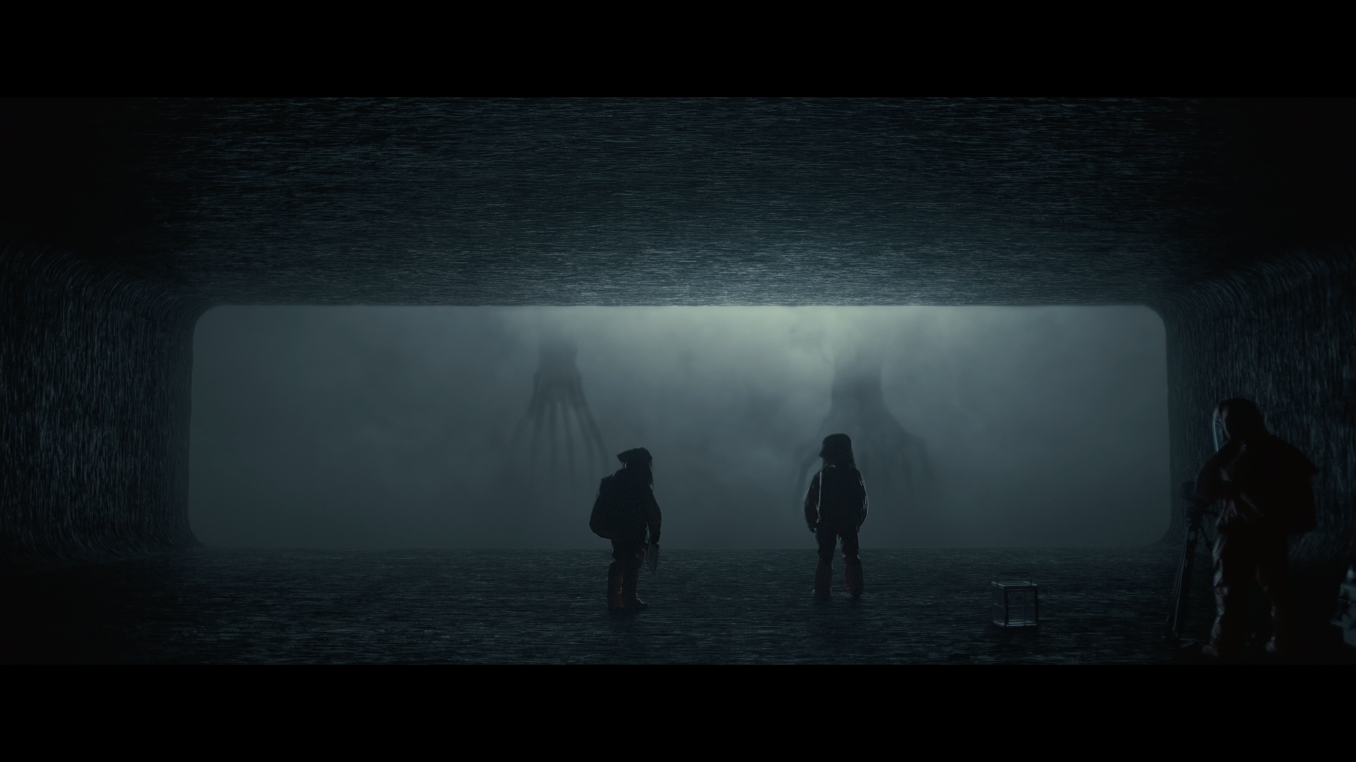 Louise and Ian approaching the heptapods in the misty contact room